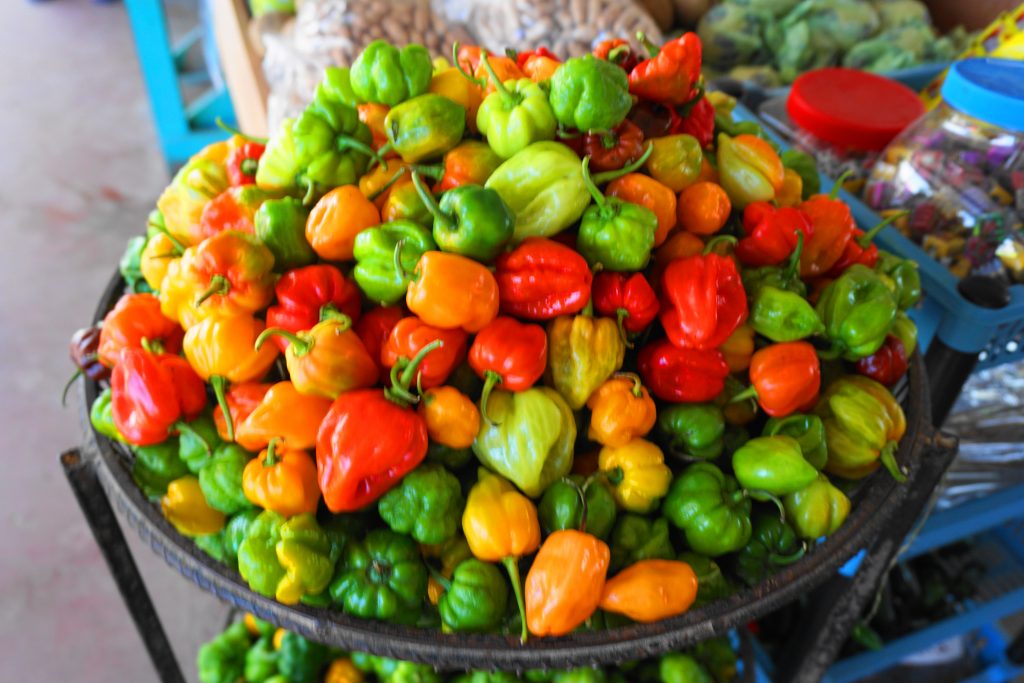 Things to do in San Ignacio, Belize - Farmers Market
