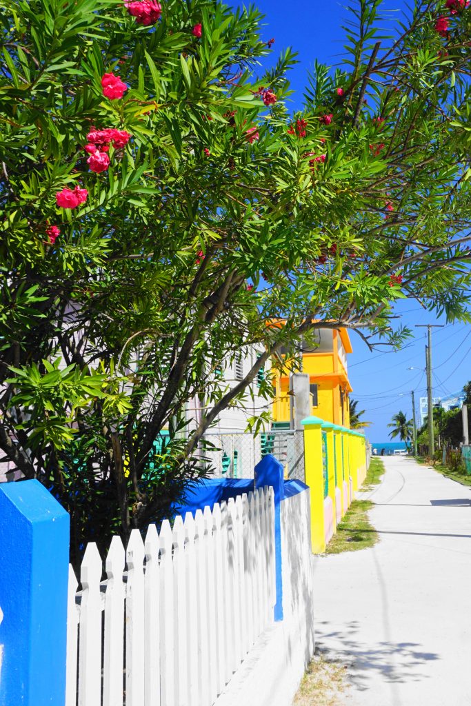 Wander - things to do in Caye Caulker