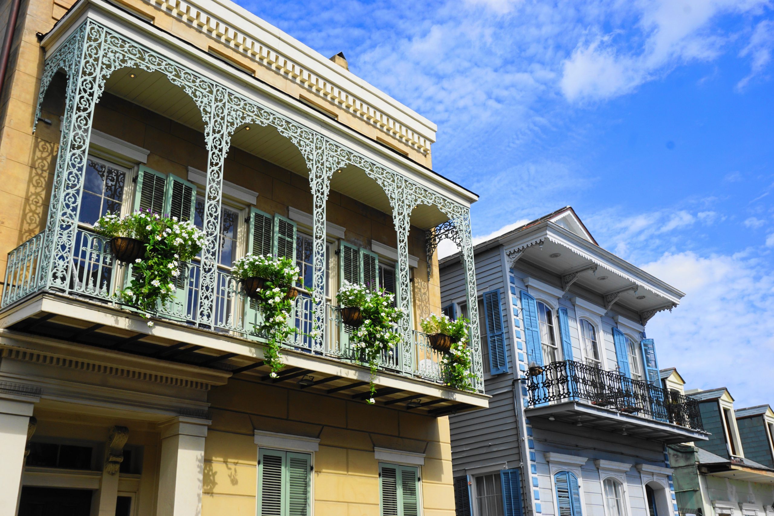 Discover top tourist attractions in New Orleans! From steamboat rides to the French Quarter to live jazz, New Orleans has it all!