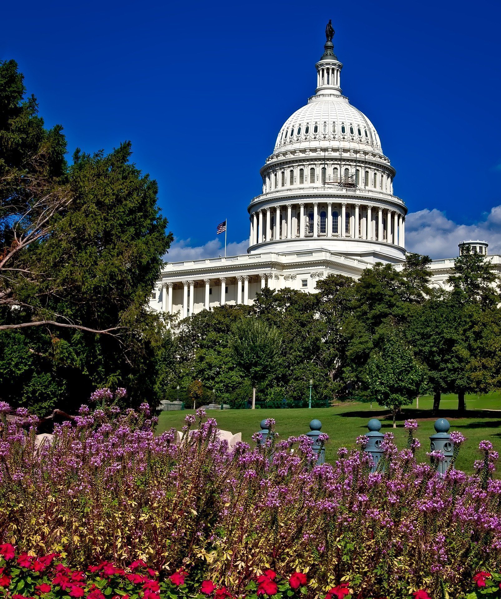 top Washington DC tourist attractions - Capitol.
