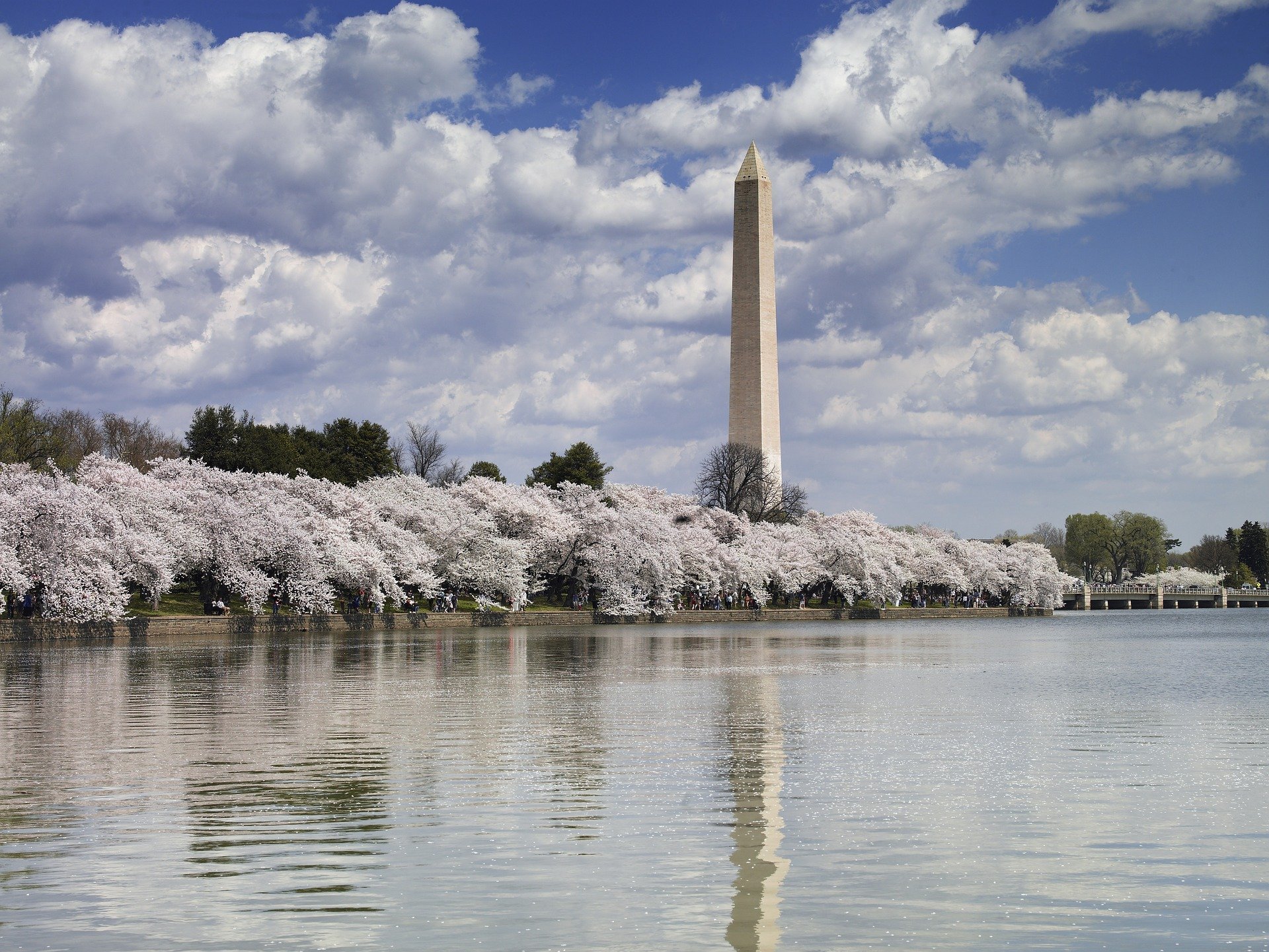 top Washington DC tourist attractions - Washington Monument