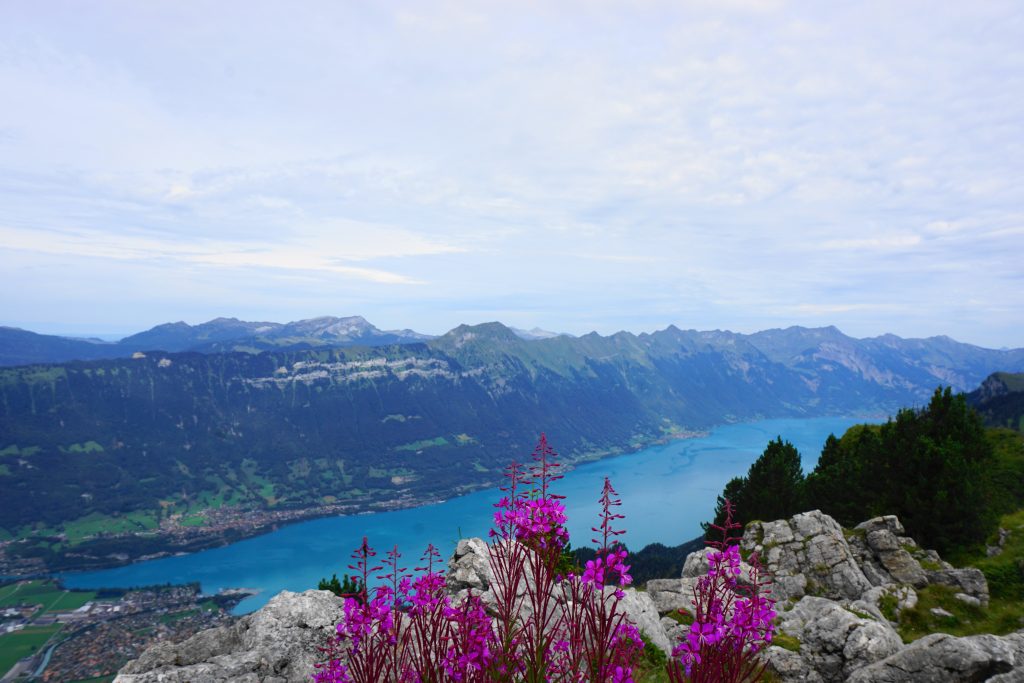 Top 8 Interlaken adventure activities; best things to do in Interlaken, Switzerland; where to stay in Interlaken