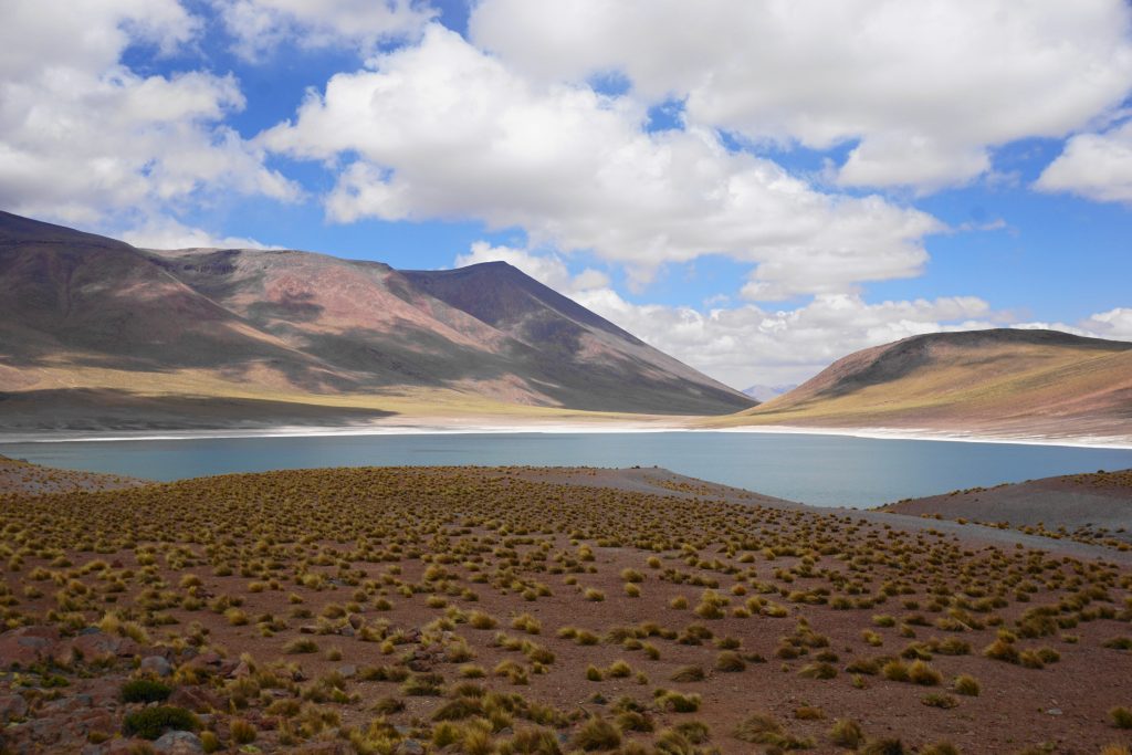 Laguna Miniques on a day trip from San Pedro de Atacama, Chile