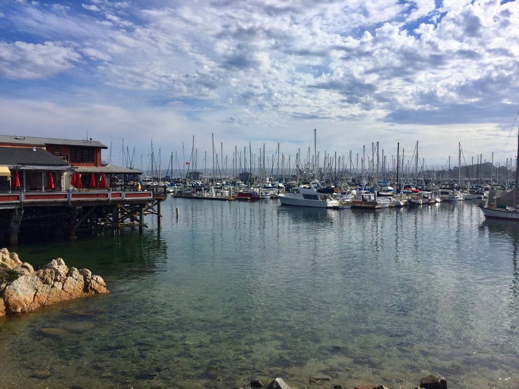 8 day Pacific Coast Highway road trip itinerary - Monterey