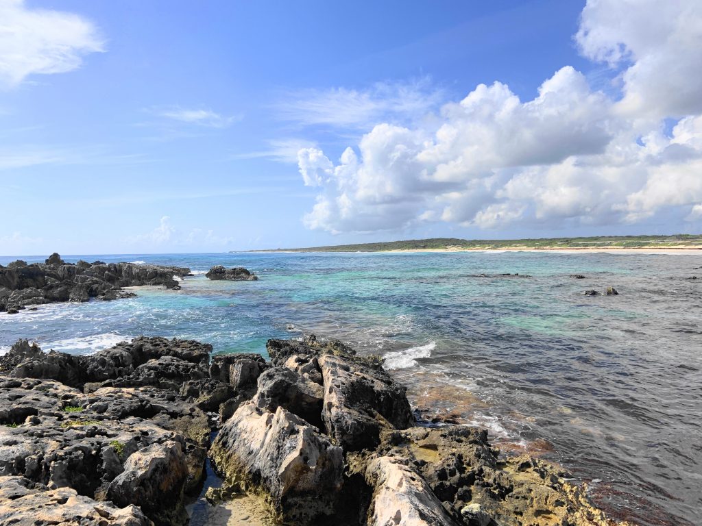 Plan the perfect 1 day in Cozumel, Mexico! These photos will show you why this paradise needs to be your next vacation!