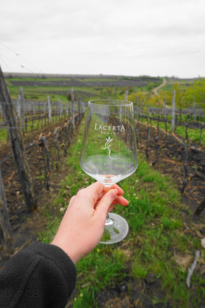 Bucharest wine tasting - LacertA glass in a rainy vineyard